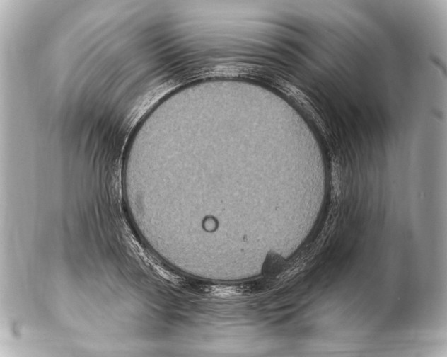 X0000102400794200808291444