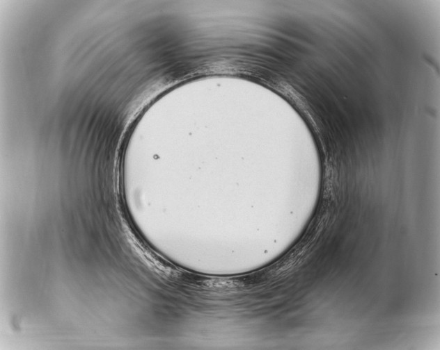 X0000102400795200808291444