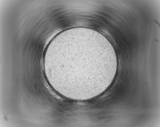 X0000102400796200808291444