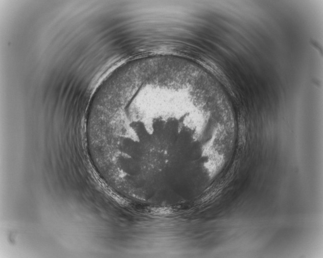 X0000102400798200808291444