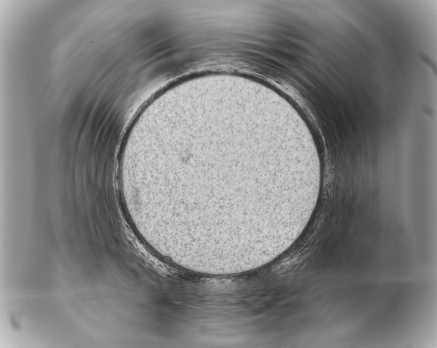 X0000102400799200808291444