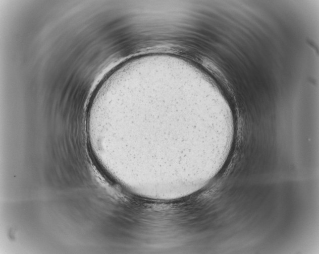 X0000102400800200808291444