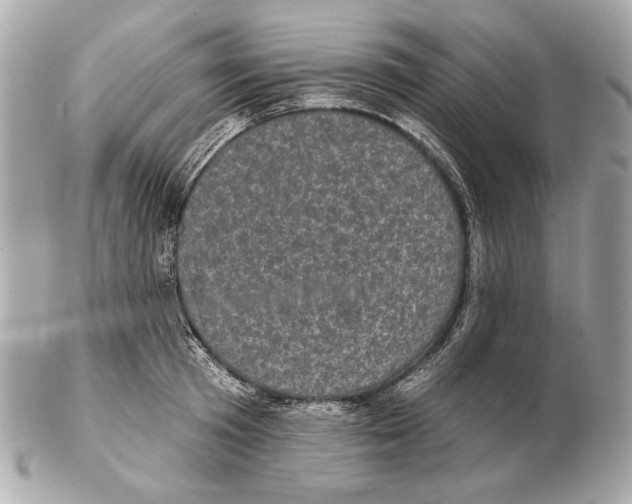 X0000102400801200808291444