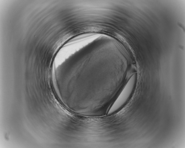 X0000102400802200808291444