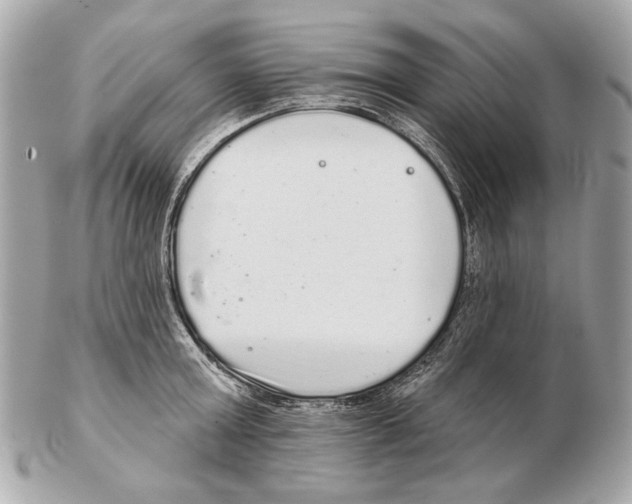 X0000102400803200808291444