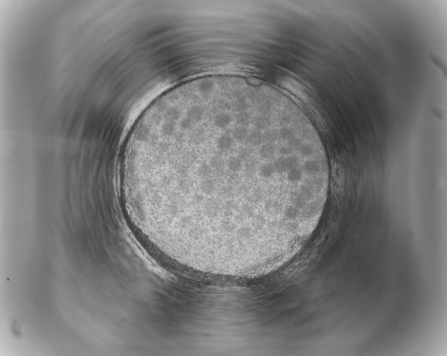 X0000102400804200808291444