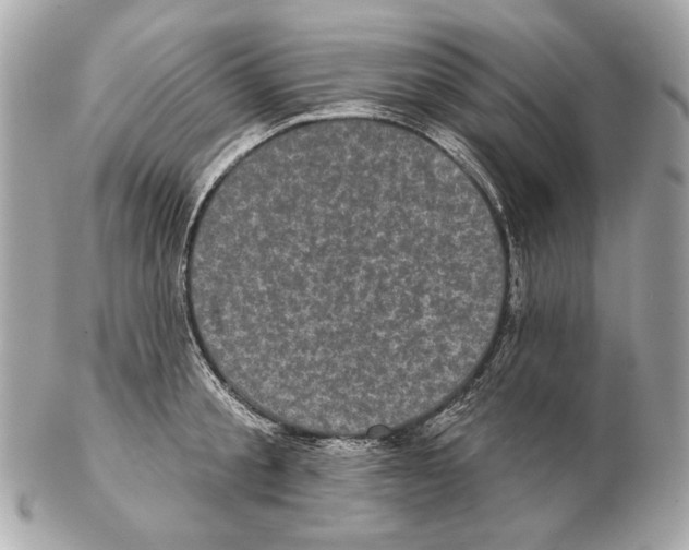 X0000102400805200808291444