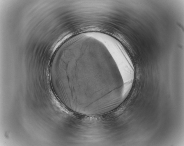 X0000102400806200808291444