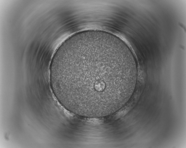 X0000102400807200808291444