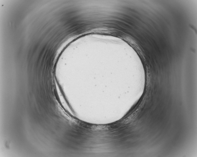 X0000102400808200808291444