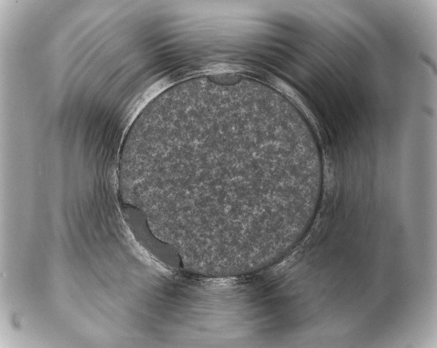 X0000102400810200808291444