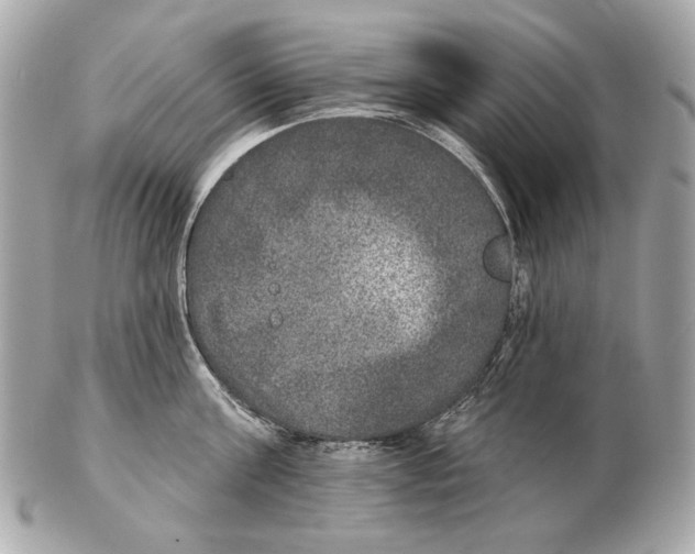 X0000102400811200808291444