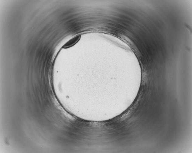X0000102400812200808291444