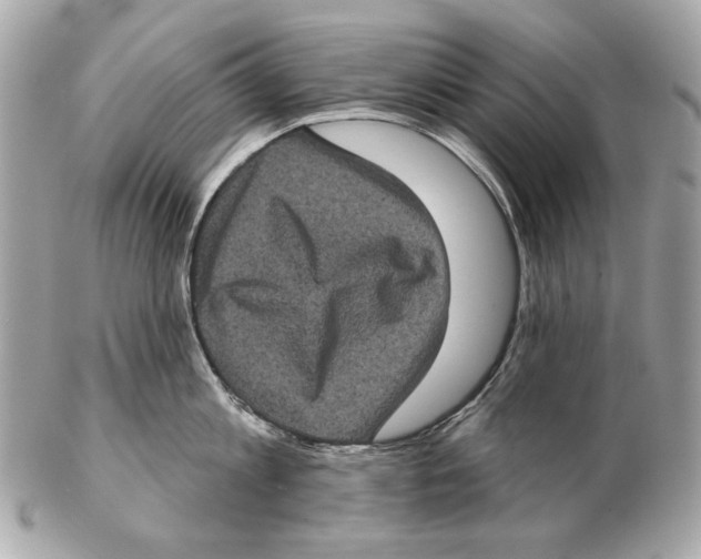 X0000102400813200808291444