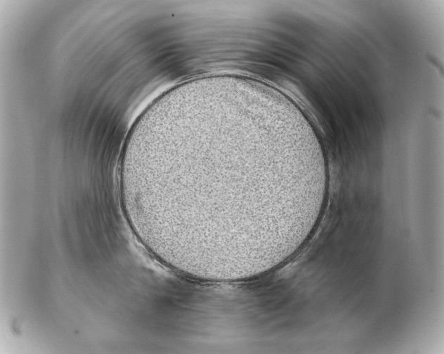 X0000102400814200808291444
