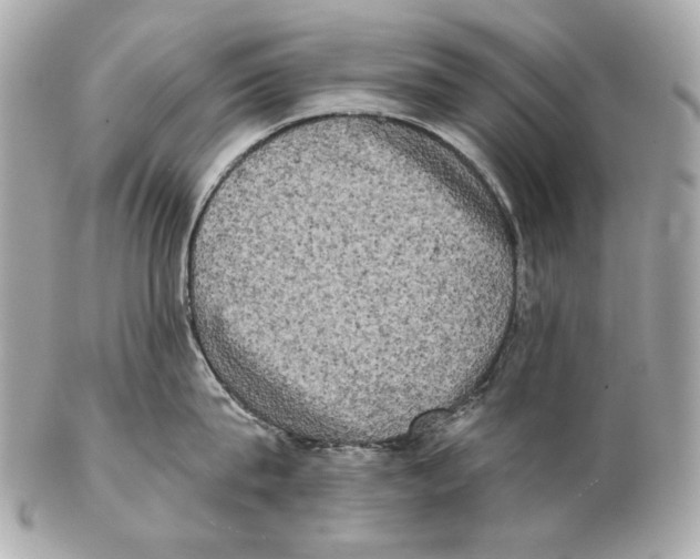 X0000102400815200808291444
