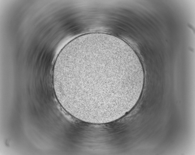 X0000102400816200808291444