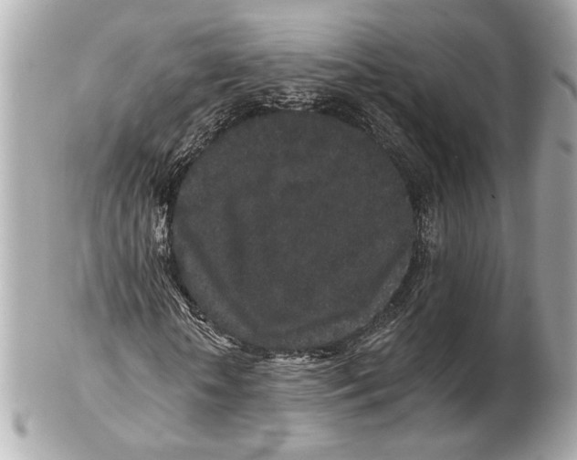 X0000102400818200808291443