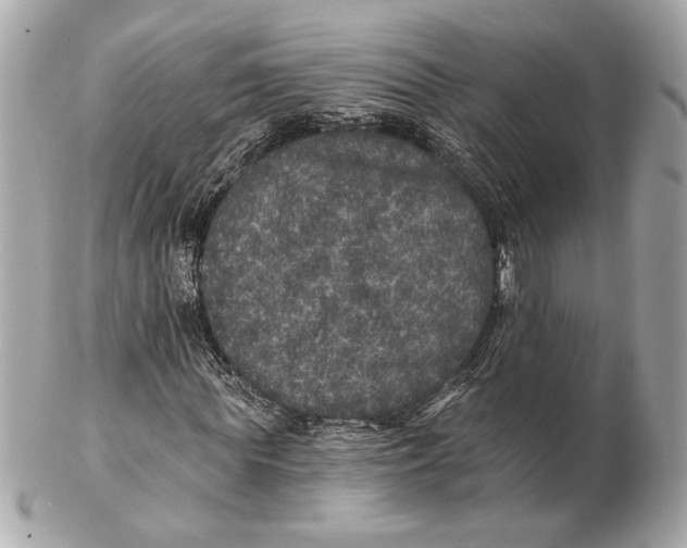 X0000102400819200808291443