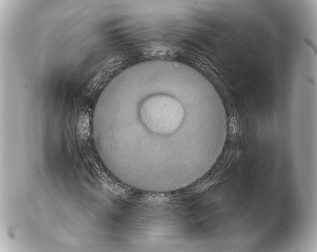 X0000102400820200808291443