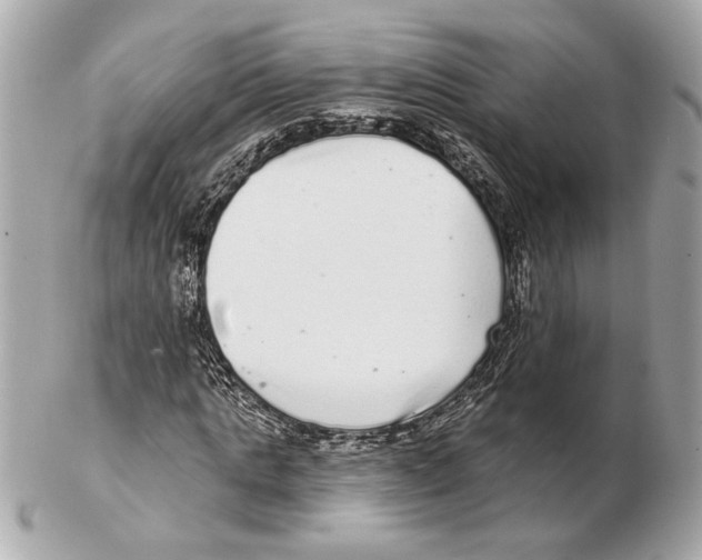 X0000102400821200808291443