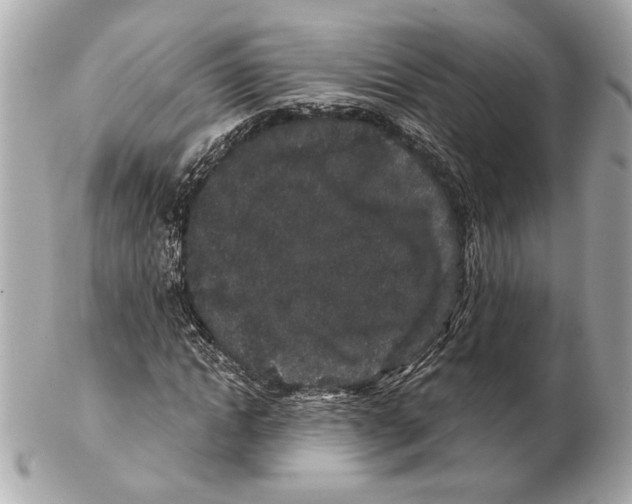 X0000102400822200808291443