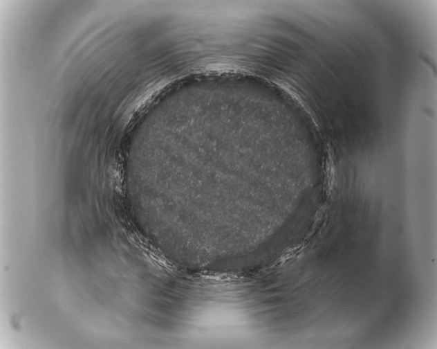 X0000102400823200808291443