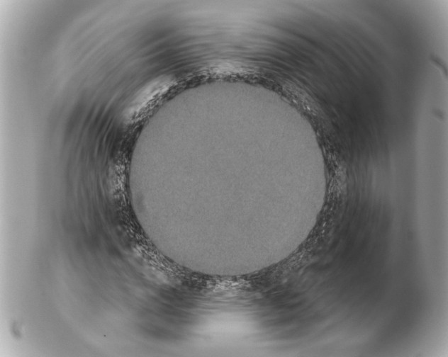 X0000102400824200808291443