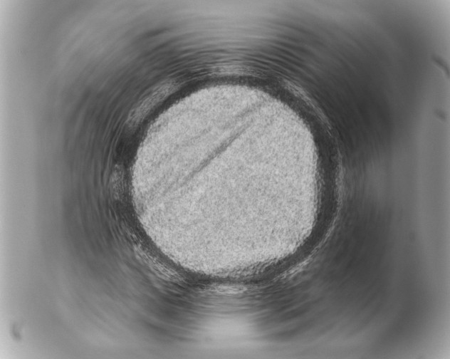 X0000102400825200808291443