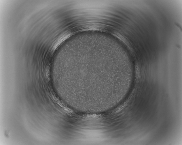X0000102400826200808291443