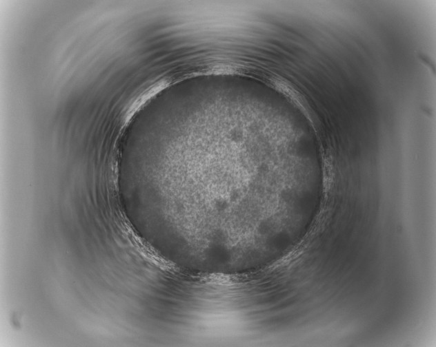 X0000102400827200808291443
