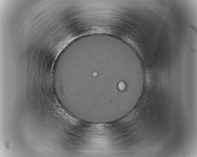 X0000102400828200808291443