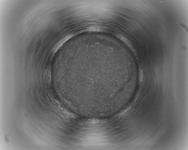 X0000102400829200808291443
