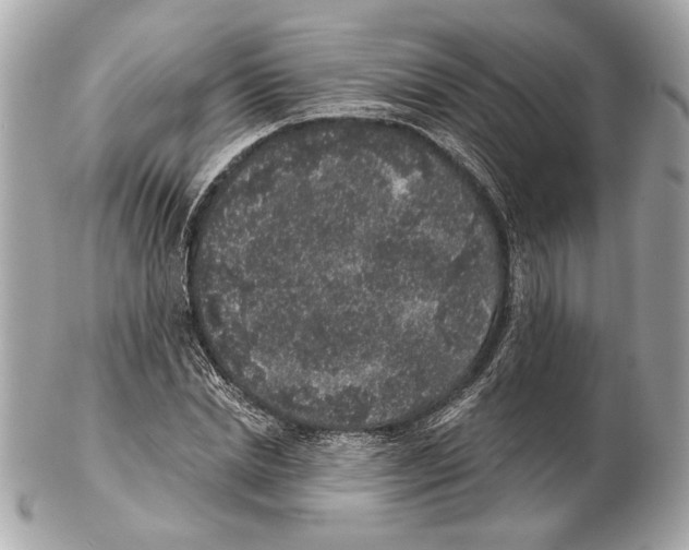 X0000102400830200808291443