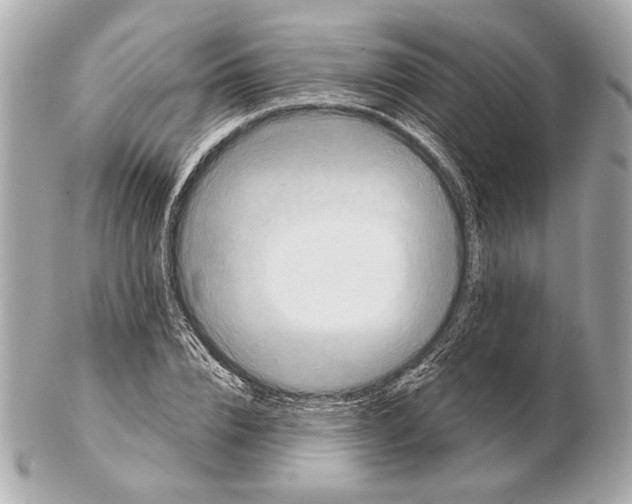 X0000102400832200808291443