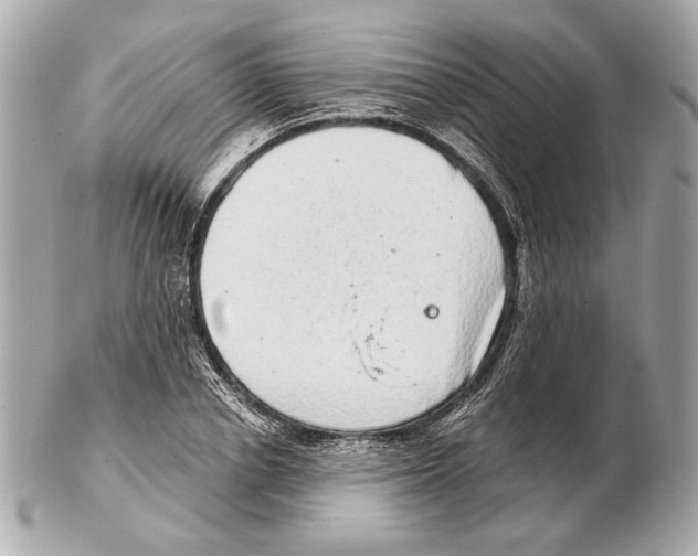 X0000102400834200808291443