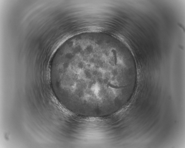 X0000102400835200808291443