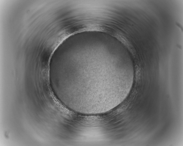 X0000102400836200808291443