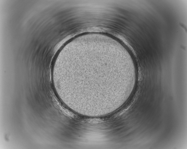 X0000102400837200808291443