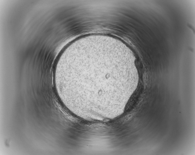 X0000102400838200808291443