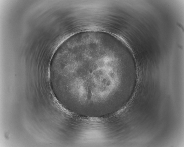 X0000102400839200808291443
