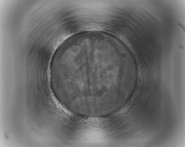 X0000102400840200808291443