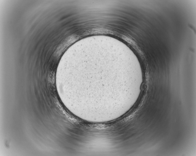 X0000102400841200808291443