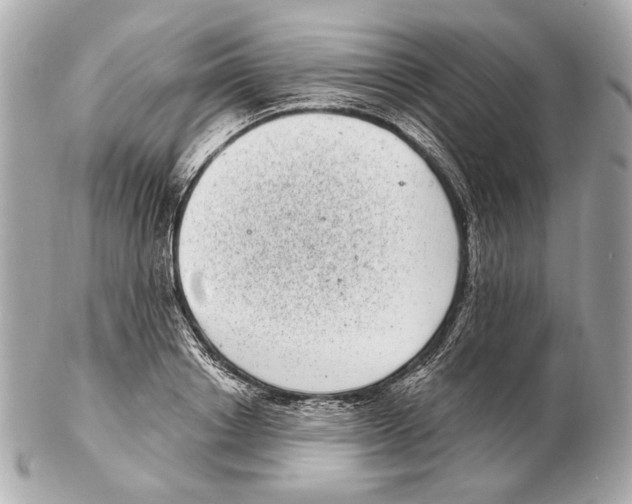 X0000102400842200808291443