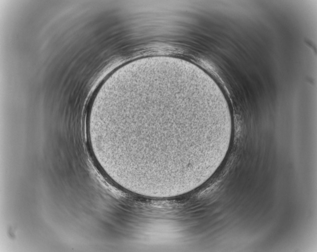X0000102400843200808291443