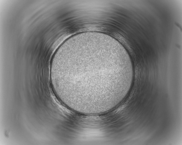 X0000102400844200808291443