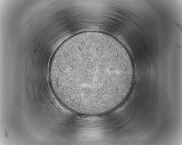 X0000102400845200808291444