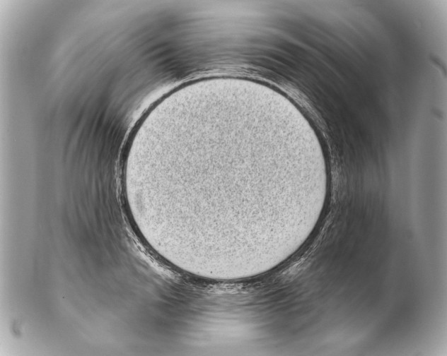 X0000102400846200808291444