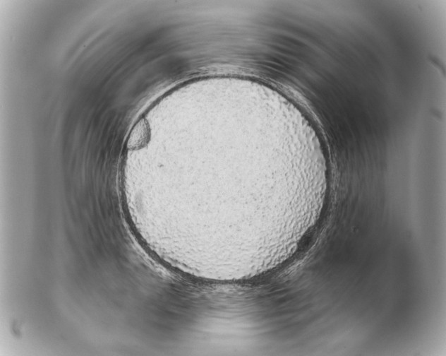 X0000102400847200808291444