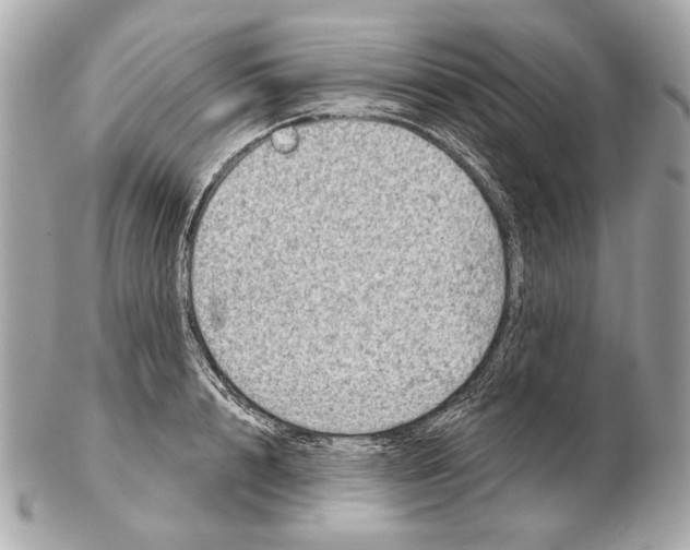 X0000102400848200808291444
